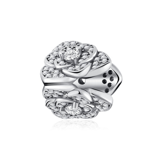 The Secret of the Universe Charm