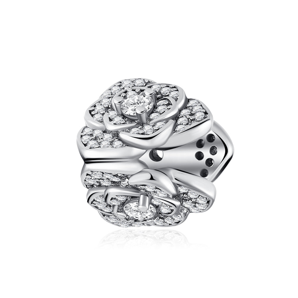 The Secret of the Universe Charm