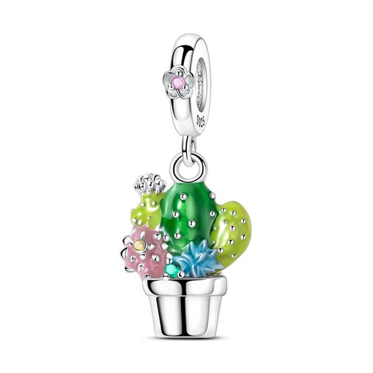 Cactus Succulent Charm