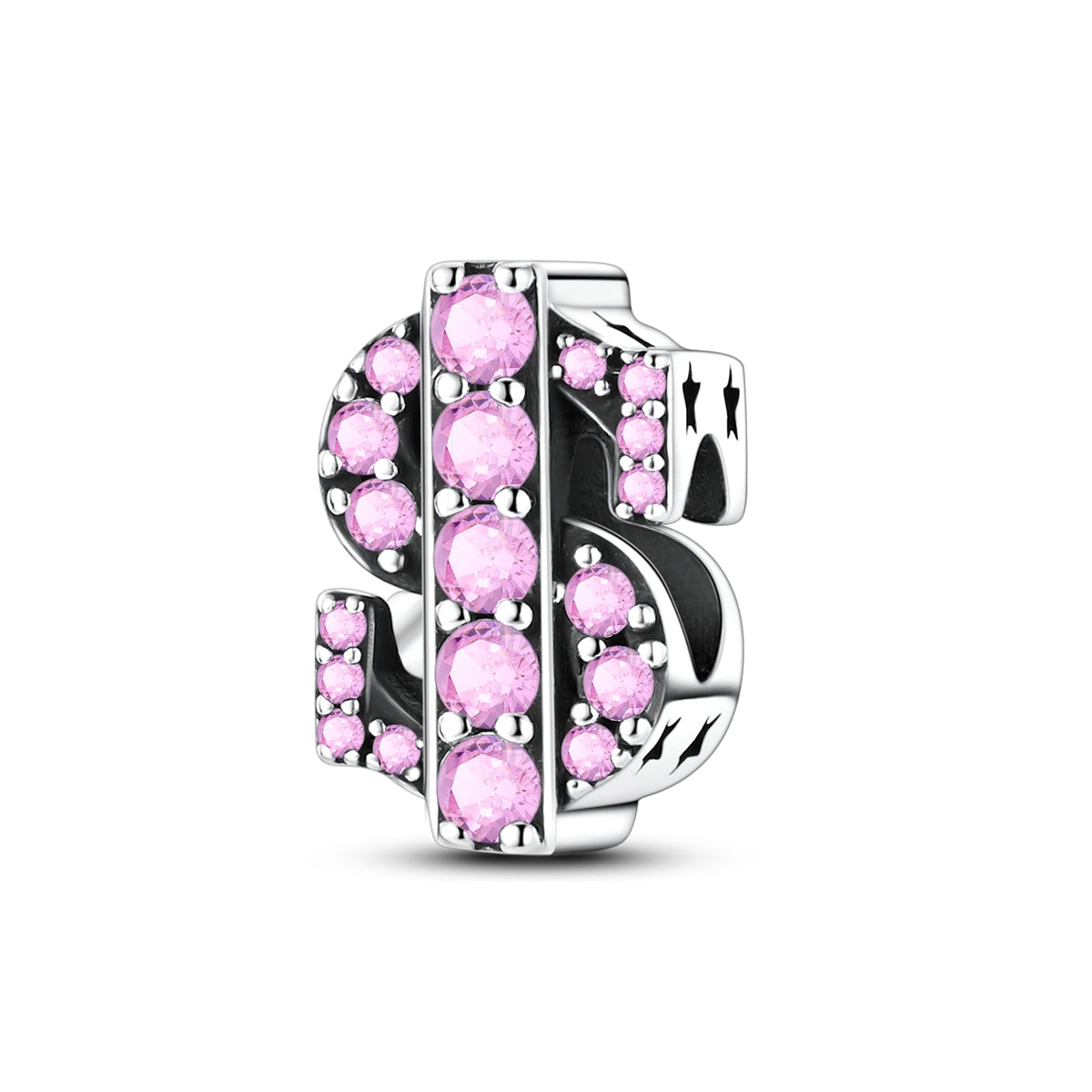 Pink Dollar Charm