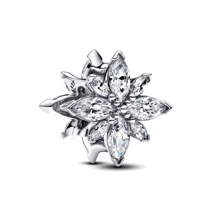 Gorgeous Snowflakes Charm