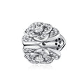 The Secret of the Universe Charm