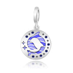 Dolphin 2-Piece Charm Set