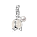 Campanula Charm