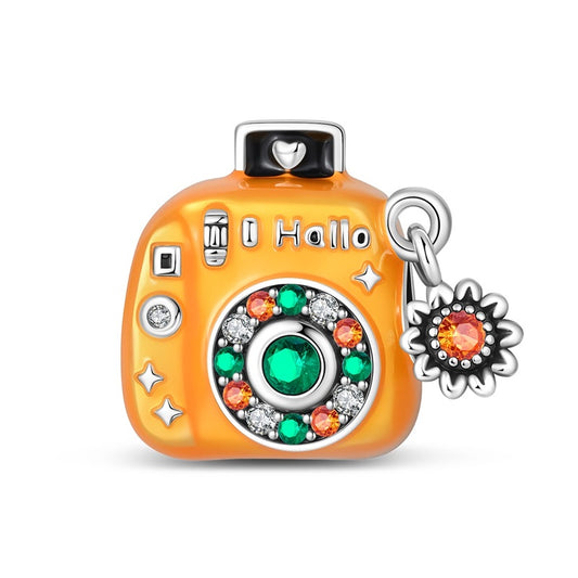 Romantic Camera Charm
